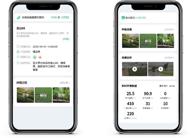 環球軟件綠色溯源系統追溯報告記錄
