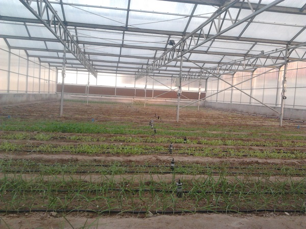 環境數據采集器