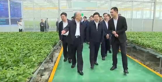 山東省委書記林武蒞臨我司承建的數字農業工程考察