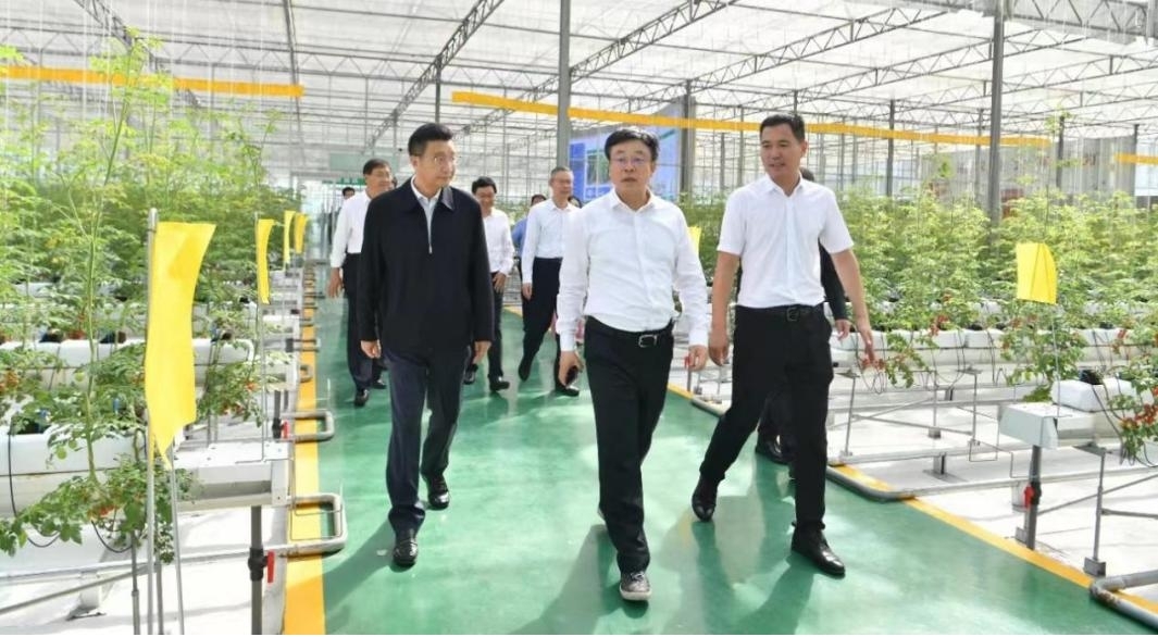 山東省委書記林武蒞臨我司承建的數字農業工程考察