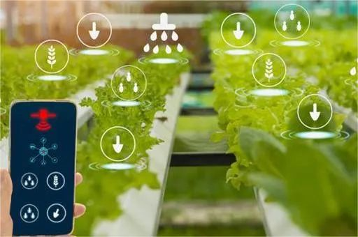 未來前景廣闊的智智慧農業平臺