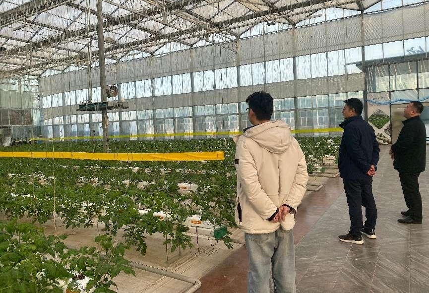 六國化工到訪環球軟件 共探智慧農業新路徑