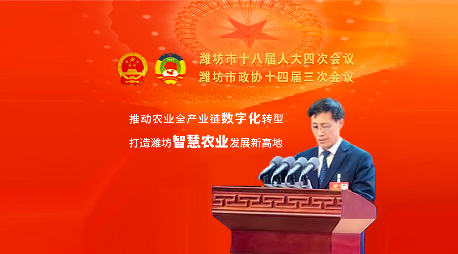 創新實干走在前 建言資政促發展